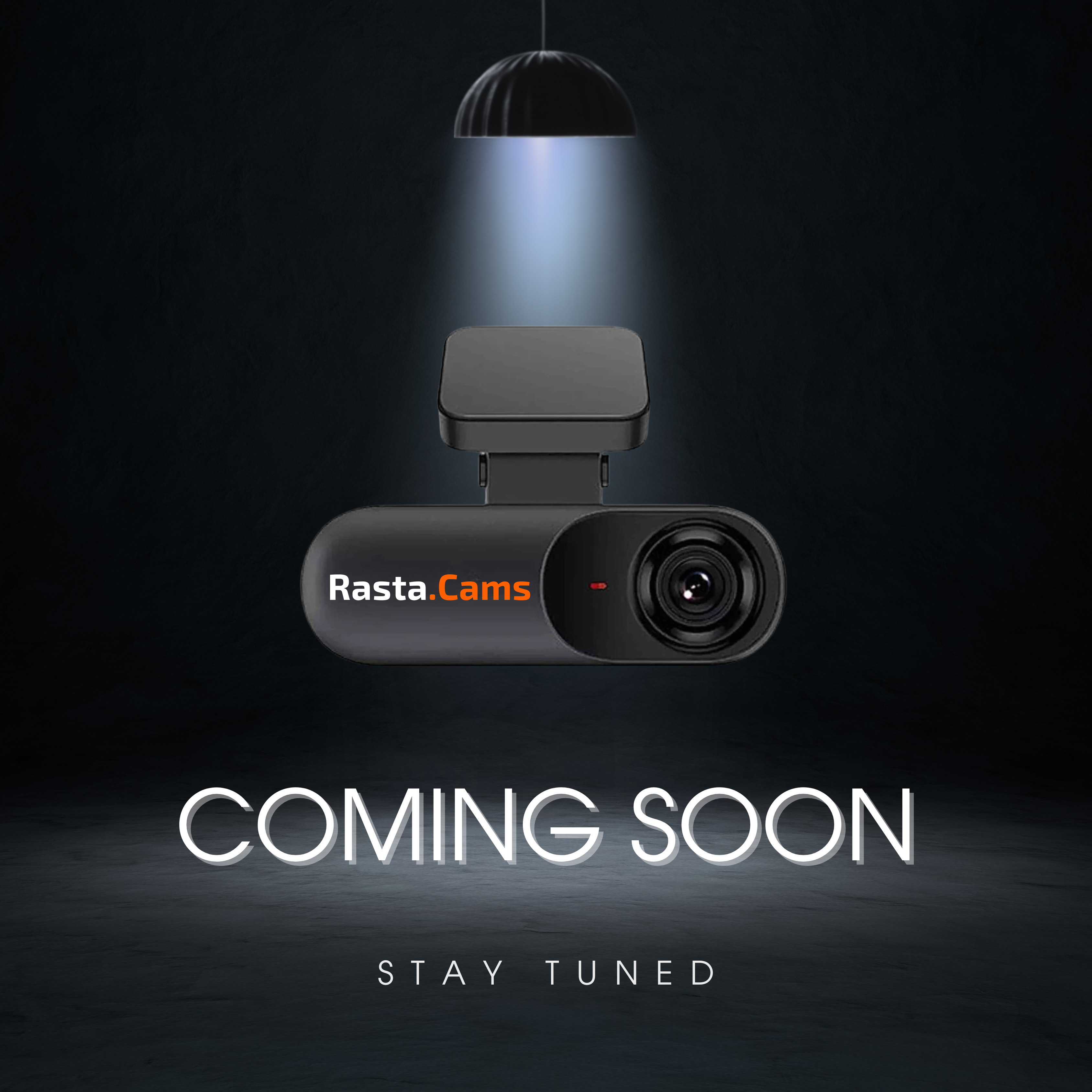 Rasta.Cams product interface